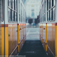 Buy canvas prints of Between two yellow trams by Sergio Falzone