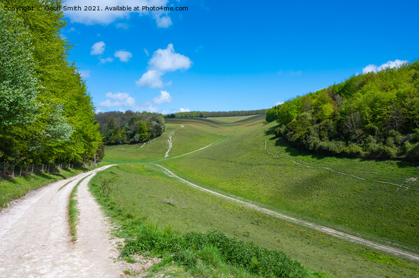 Monarchs Way in South Downs National Park Picture Board by Geoff Smith