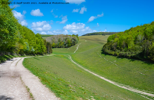 Monarchs Way in South Downs National Park Picture Board by Geoff Smith