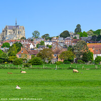 Buy canvas prints of Arundel town & cathedral by Geoff Smith