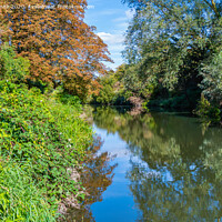 Buy canvas prints of Chichester Canal in Summer by Geoff Smith