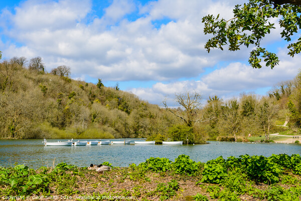 Swanbourne Boating Lake Picture Board by Geoff Smith