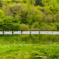 Buy canvas prints of Swanbourne Lake in Arundel by Geoff Smith