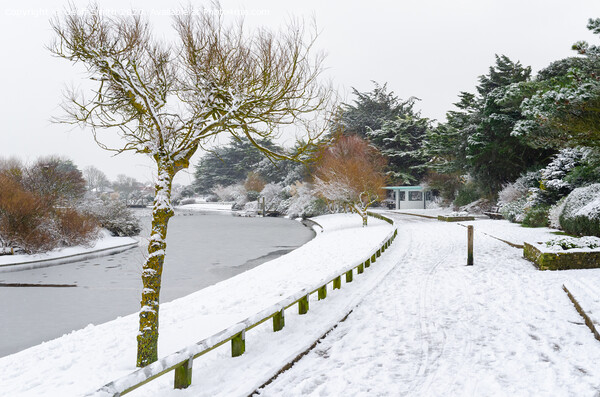 Snow at Mewsbrook Park in Littlehampton Picture Board by Geoff Smith