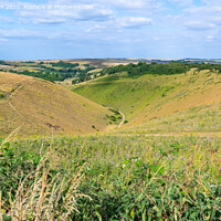 Buy canvas prints of Devils Dyke Valley by Geoff Smith