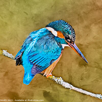 Buy canvas prints of Kingfisher in Winter Painting by Geoff Smith