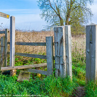 Buy canvas prints of Wooden Stile in British Countryside by Geoff Smith