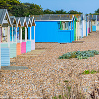 Buy canvas prints of Beach Huts in Rustington by Geoff Smith