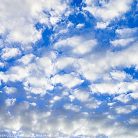 Buy canvas prints of Fluffy White Clouds by Geoff Smith