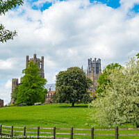 Buy canvas prints of Ely Cathedral from Cherry Hill Park by Allan Bell