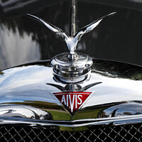 Buy canvas prints of Alvis car insignia  by Allan Bell