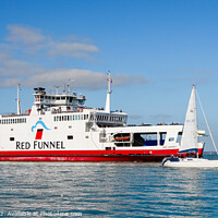 Buy canvas prints of Red Osprey returning to Cowes by Allan Bell