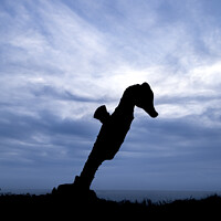 Buy canvas prints of Silhouette of Seahorse tree sculpture by Allan Bell