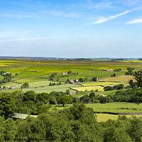 Buy canvas prints of View farmland from Brimham Rocks by Allan Bell