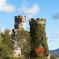 Buy canvas prints of Bodelwyddan Castle Turrets by Allan Bell