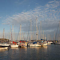 Buy canvas prints of Yarmouth Harbour in Early Morning by Allan Bell
