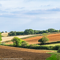 Buy canvas prints of Rolling countryside Rissington Cotswolds by Allan Bell