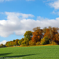 Buy canvas prints of Wood Knoll in Autumn by Allan Bell
