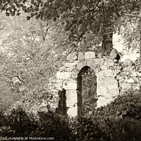 Buy canvas prints of Ruthin Castle Ruins by Allan Bell
