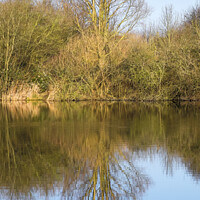 Buy canvas prints of Tree Reflection in Lake by Allan Bell