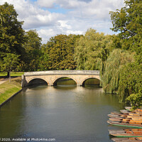 Buy canvas prints of Trinity Bridge over river Cam Cambridge by Allan Bell