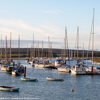 Buy canvas prints of Yachts River Yar Estuary by Allan Bell