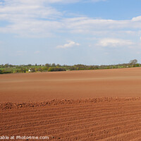 Buy canvas prints of Red Earth Ploughed Field by Allan Bell