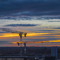 Buy canvas prints of Cranes at Sunset by Allan Bell