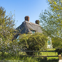 Buy canvas prints of Thatched cottages by Allan Bell