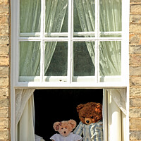 Buy canvas prints of Teddy Bears at Window by Allan Bell