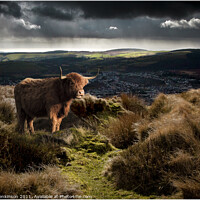 Buy canvas prints of Welsh Highlander, Maesteg by Alan Jenkinson