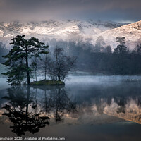 Buy canvas prints of Early Tarn Hows by Alan Jenkinson
