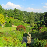 Buy canvas prints of Alton Towers Gardens, uk by andrew morrell