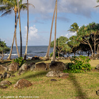 Buy canvas prints of Ancient Hawaiian temple, or Heiau by Jeff Whyte