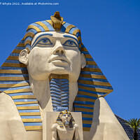 Buy canvas prints of  Sphinx outside the famous Luxor Hotel  by Jeff Whyte