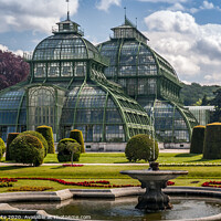Buy canvas prints of  Palmenhaus  by Jeff Whyte
