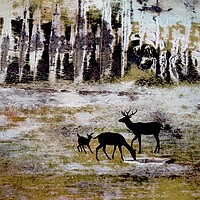 Buy canvas prints of Grazing Deer by Robert Fennah
