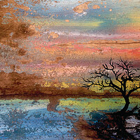 Buy canvas prints of Tree At Sunset by Robert Fennah