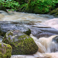 Buy canvas prints of Aira force before the Fall by Andrew Heath