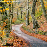 Buy canvas prints of Cheddleton Lane Staffordshire  by Andrew Heath