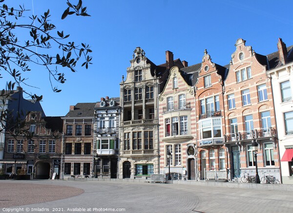 Historic Main Square, Dendermonde, Belgium Picture Board by Imladris 