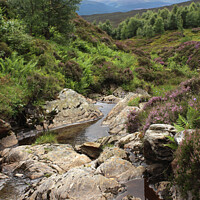 Buy canvas prints of Edramucky Trail, Ben Lawers, Scotland by Imladris 