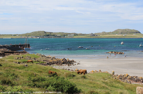 Fionnphort to Iona View, Mull, Scotland Picture Board by Imladris 