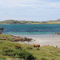 Buy canvas prints of Fionnphort to Iona View, Mull, Scotland by Imladris 