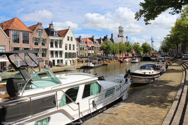 Canalside View, Dokkum, the Netherlands Picture Board by Imladris 