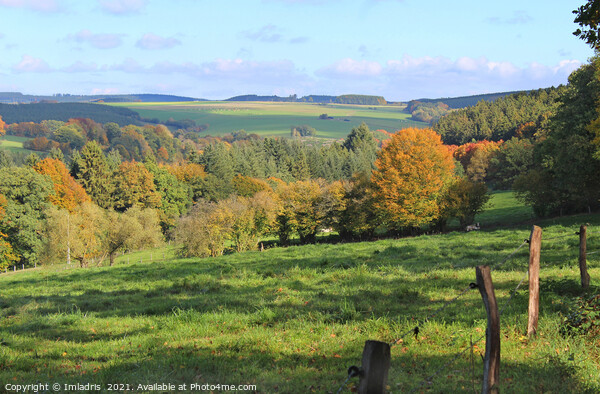 Belgian Ardennes Autumn Landscape Picture Board by Imladris 