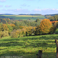 Buy canvas prints of Belgian Ardennes Autumn Landscape by Imladris 