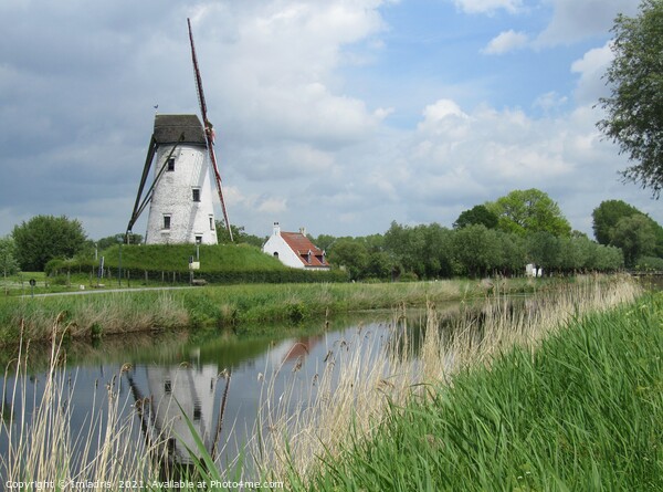Windmill Damme, West Flanders, Belgium Picture Board by Imladris 