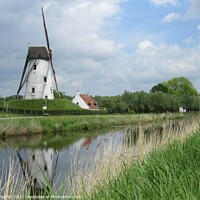 Buy canvas prints of Windmill Damme, West Flanders, Belgium by Imladris 