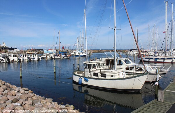 Spodsbjerg Harbour, Langeland, Denmark  Picture Board by Imladris 